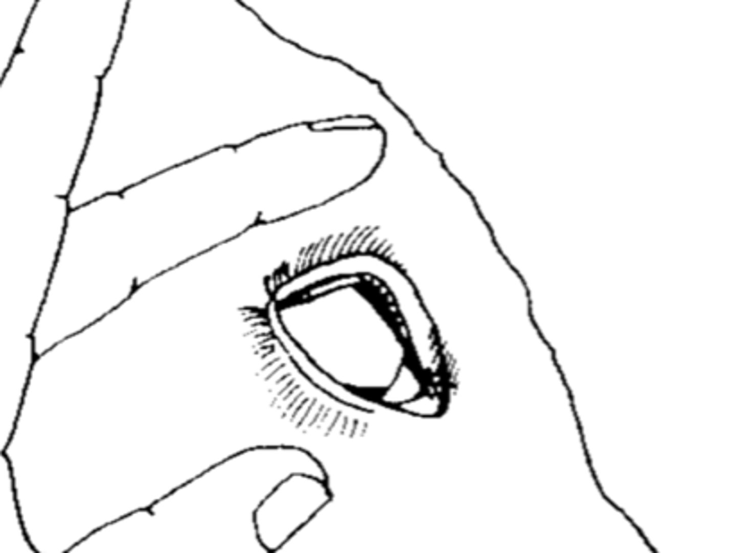 <p>What is the depth?</p>