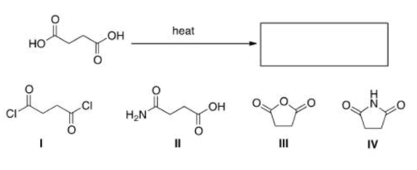 <p>B</p>
