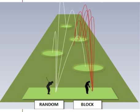 <p>Practice the same skill differently (STS from toilet, bed, car, bench, etc.) </p>
