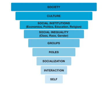 <p>Society, culture, social institutions, social inequality, groups, roles, socialization, interaction, and self. </p>