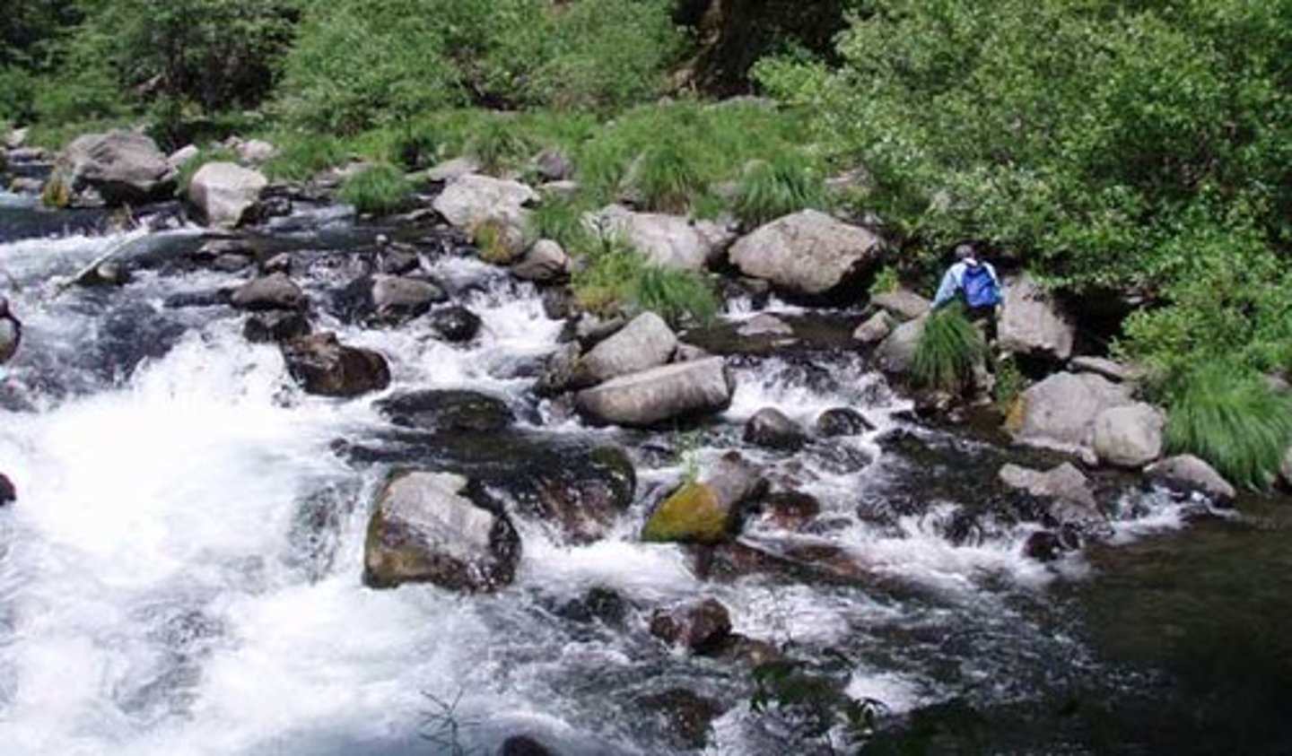 <p>This is a method of transportation in a river where the load is bounced along the riverbed.</p>