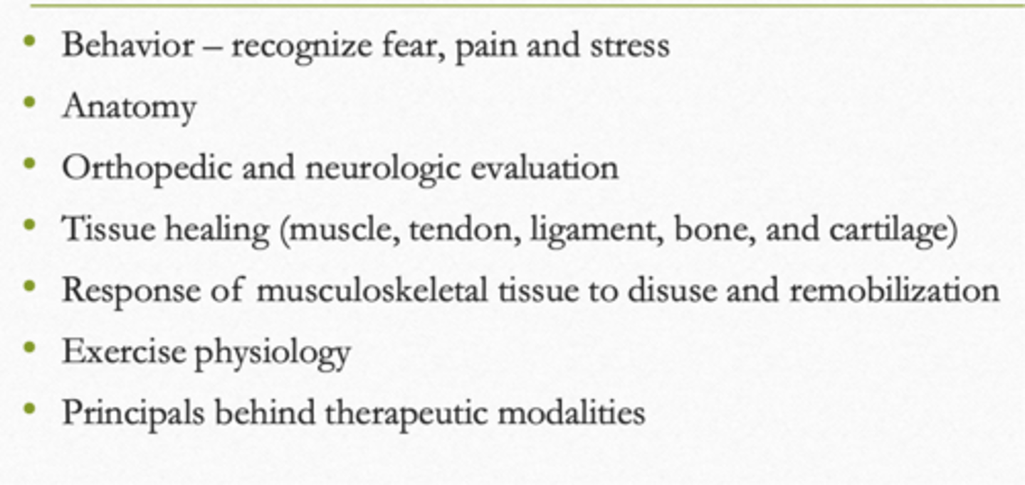 <p>what is shown here</p>