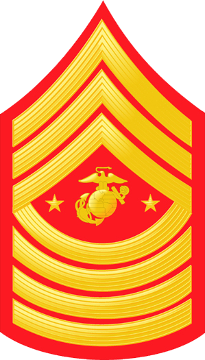 <p>three chevrons, four rockers, and two stars on either side of a Marine Corps Emblem</p>