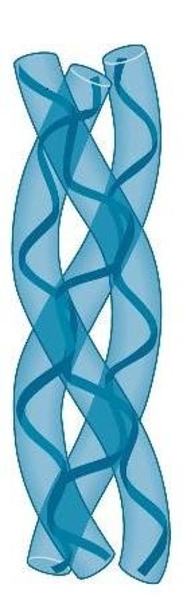 <p>Polypeptide chains arranged as strands or sheets; providing structural support</p>