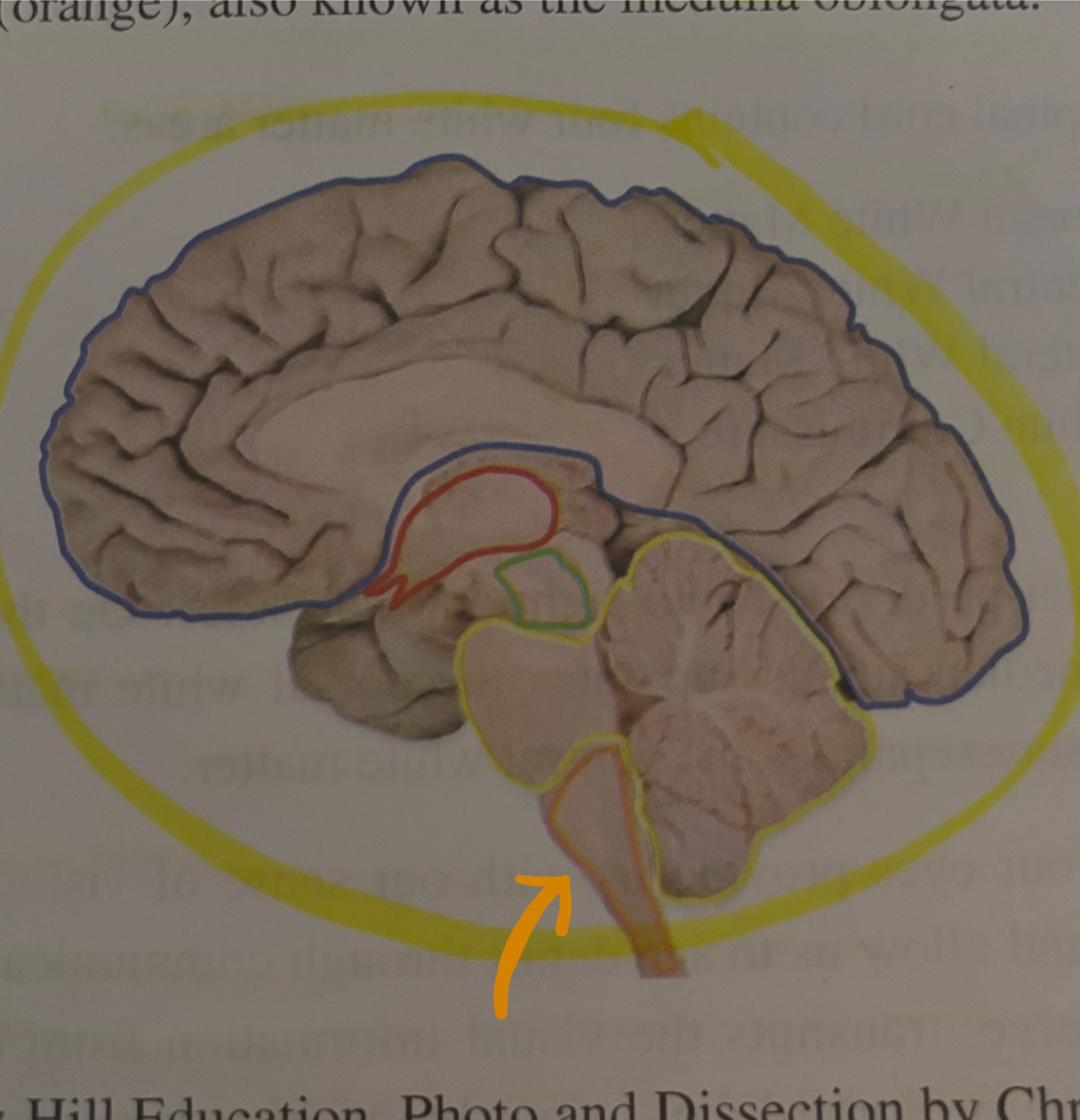 <p>What region is this?</p>