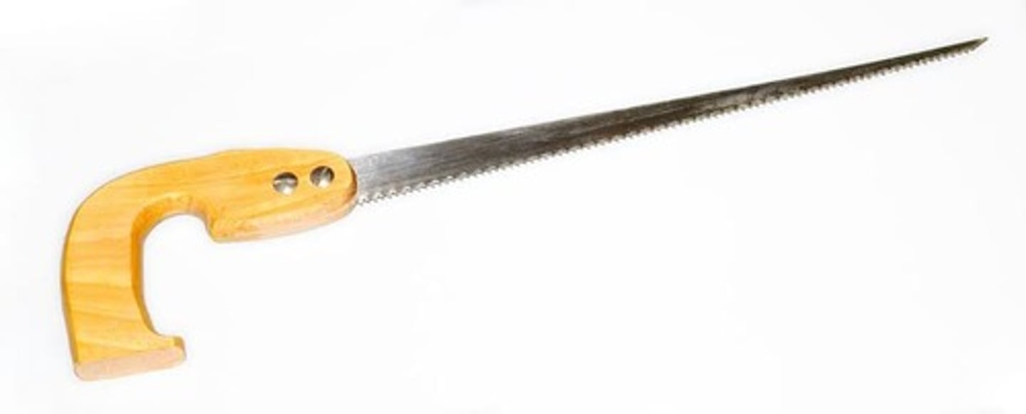 <p>Keyhole saw</p>