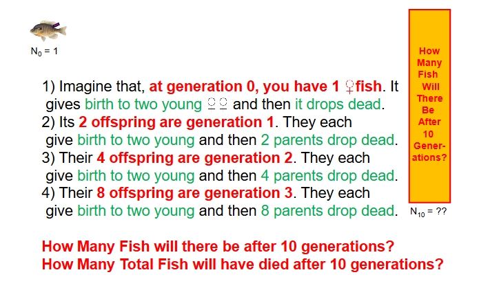 <p>How many fish will there be after 10 generations?</p><p>How many total fish will have died after 10 generations?</p>