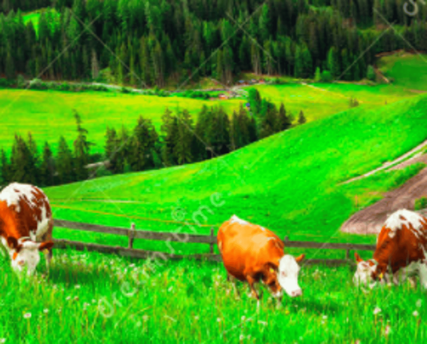 <p>vùng đồng bằng xanh bát ngát màu mỡ</p>