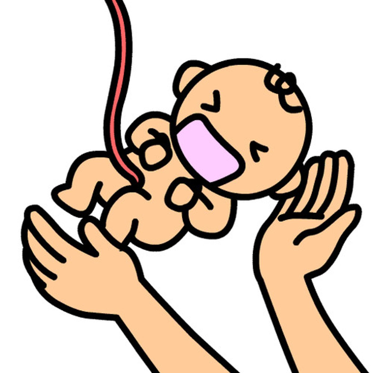 <p>うまれます</p>