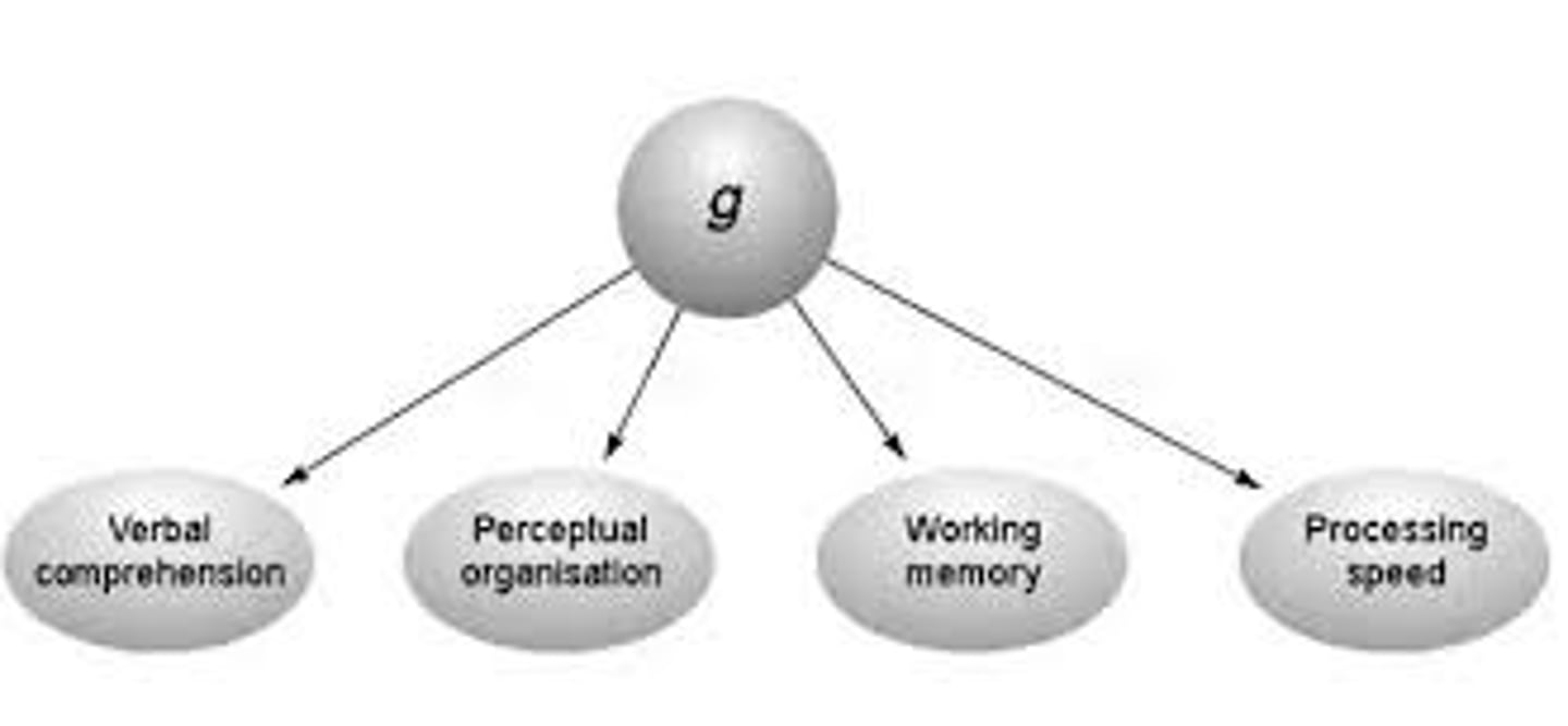 <p>a general intelligence factor that, according to Spearman and others, underlies specific mental abilities and is therefore measured by every task on an intelligence test</p><p>underlying factor of intelligence</p>