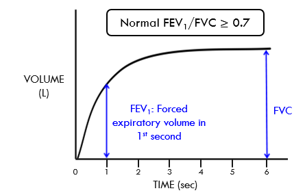 <p>can see lung function represented as volume vs time just during theforced exhalation from maximal inhalation from minimal exhalation </p>