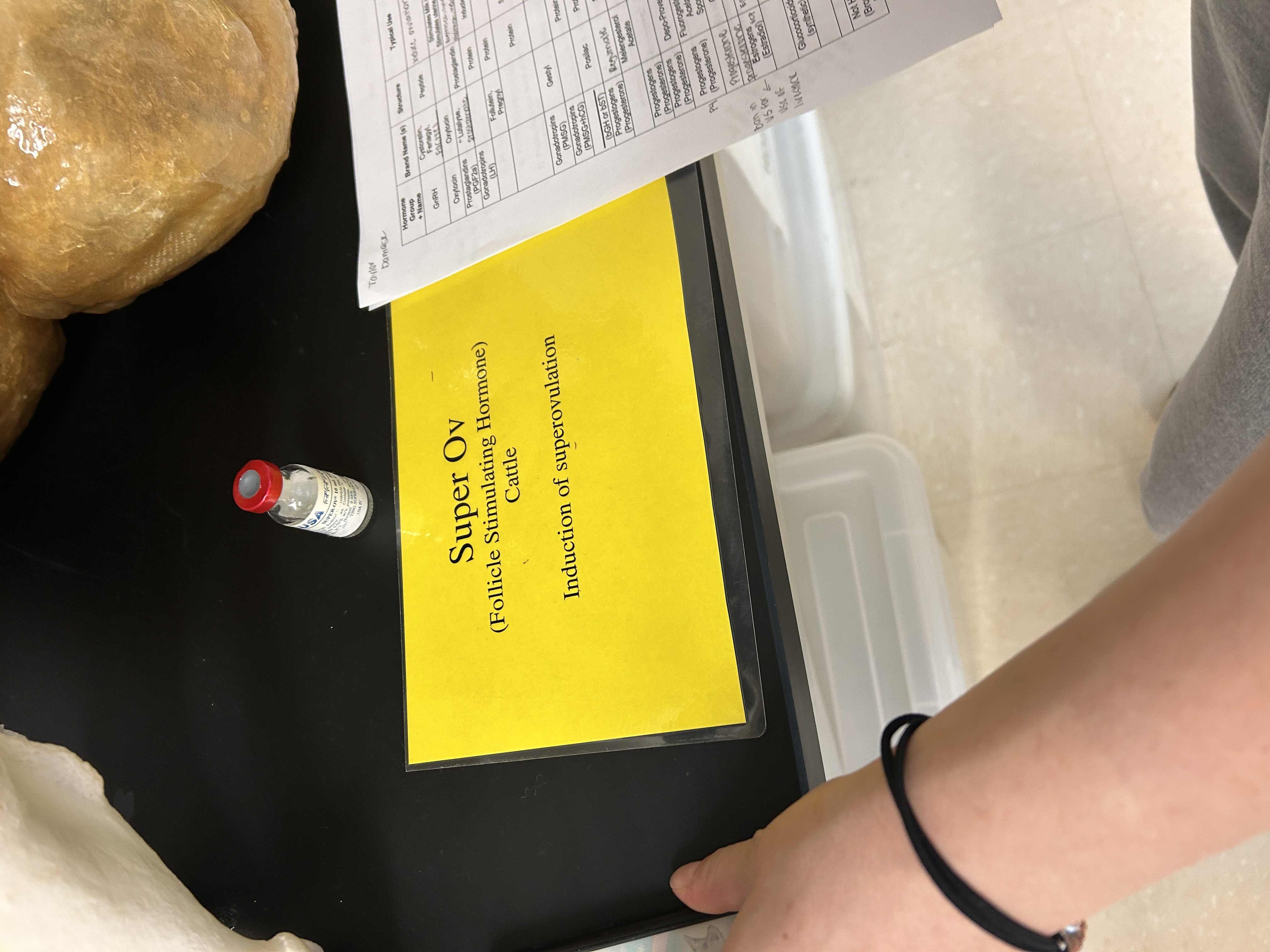 <p>Induction of super ovulation; Cattle</p>