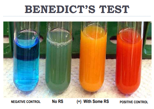 <p>TESTS FOR REDUCING SUGARS</p><ul><li><p>Reagent contains CuSO4, Na₂CO₃ and Na Citrate. Carbohydrates bearing a free carbonyl group will be oxidized and in turn reduce Cu2+ to produce a <span style="color: red">reddish-orange</span><span style="color: yellow"> colored complex</span> in the presence of alkaline environment.</p></li></ul><p></p><p>Remember</p><ul><li><p><span style="color: yellow">8</span> test tube</p></li><li><p><span style="color: yellow">1</span> mL of : 1% </p><ul><li><p>Xylose, Glucose, Fructose, Sucrose, Lactose, Starch, Hydrolyzed starch, Distilled water.</p></li></ul></li><li><p><span style="color: yellow">3 ml</span> of Benedicts Reagent + Heat <span style="color: yellow">5 </span>min + Set aside for <span style="color: yellow">10 </span>mins. + observe </p></li></ul><p></p><p>Ex. (picture)</p><ul><li><p>Negative control = no sugar</p></li><li><p>No RS = There is sugar but not reducing sugar</p></li><li><p>With some RS = Not many for ex. glucose conc. </p></li><li><p>Positive = Super conc sugar that is present in solution. </p></li></ul><p></p>