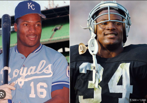 <p>Bo Jackson (Bo jack horseman :0) </p>