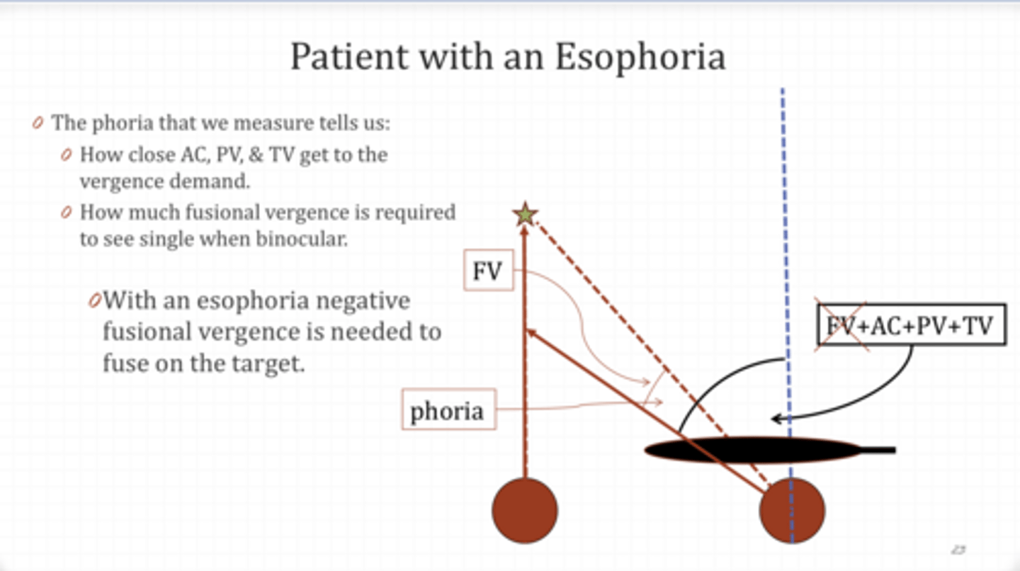<p>Patient with an ESOphoria Example</p><p>With an esophoria (negative/positive) fusional vergence is needed to fuse on the target</p>