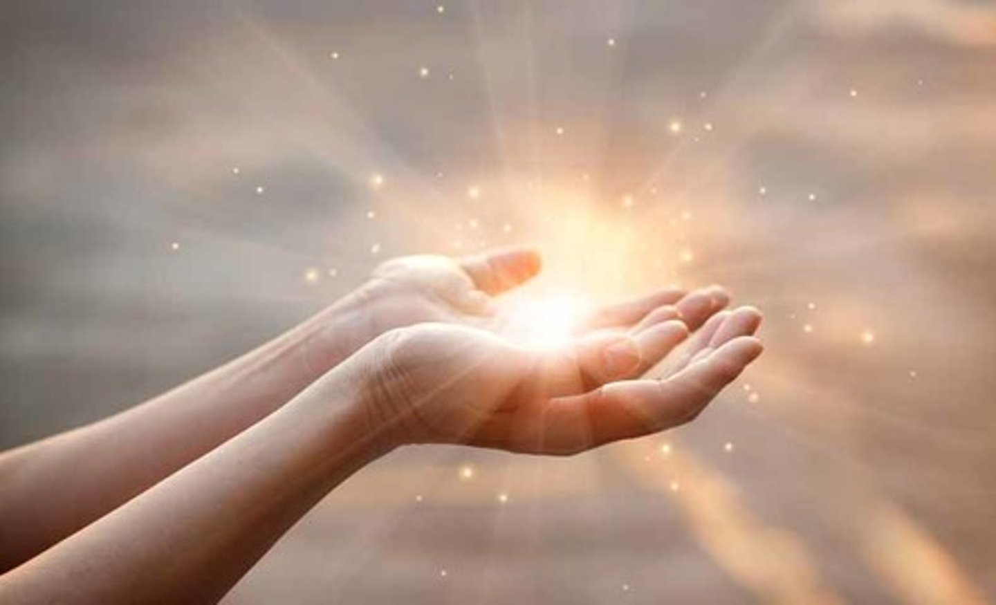 <p>(adj.)神聖的</p>