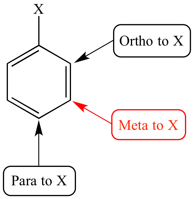 <p>They are positions where another substituent group can bind onto relative to the ‘first’ substituent X.</p>
