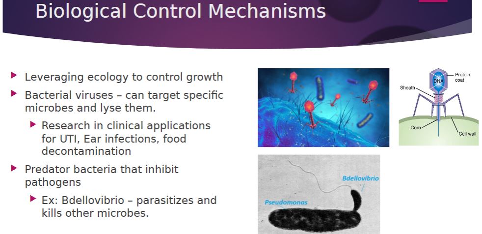 <p>Biological Control Mechanisms</p>