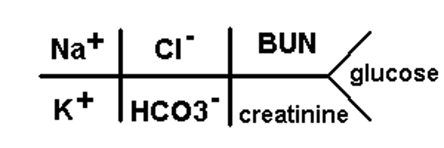 <p>Electrolytes:</p><p>1) Sodium</p><p>2) Potassium</p><p>3) Chloride</p><p>4) Total CO2 (serum bicarbonate)</p><p>Other:</p><p>1) Blood Urea Nitrogen (BUN)</p><p>2) Creatinine</p><p>3) Glucose</p><p>Take note of the BMP fishbone.</p>