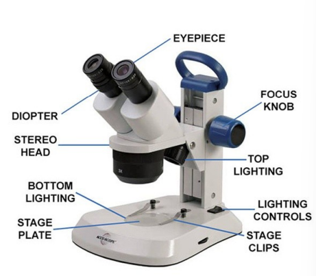 <p>single objective lens, has light microscope</p>