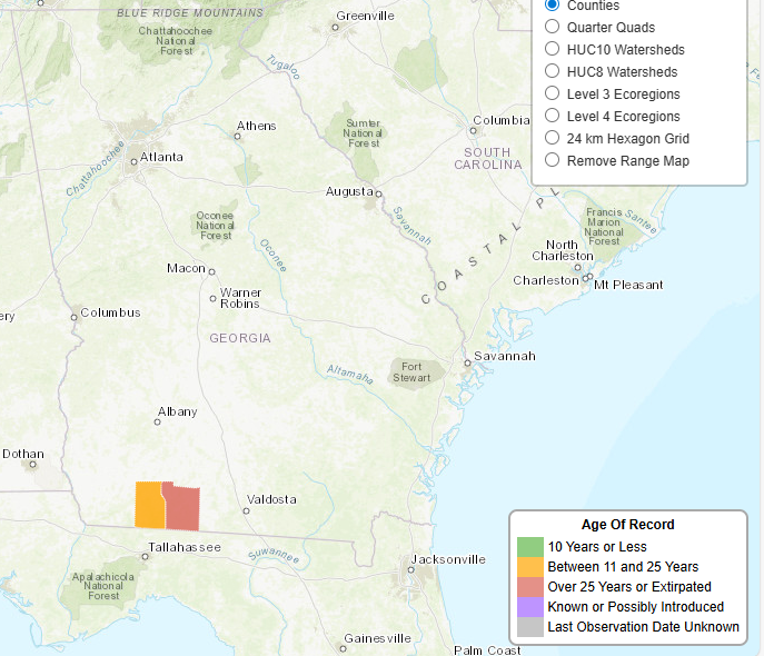 <p>Scientific name: <em>Amphiuma pholeter</em></p><p>Common name:One-toed Amphiuma</p><p>Range in Georgia: Southeastern GA</p><p>EOs in Georgia: 3</p><p>State Rank: S1</p><p>Global Rank: G4</p>
