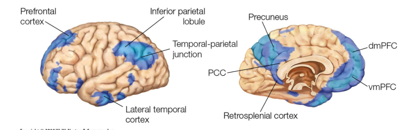 <ul><li><p>most active when inwardly focused (focused on internal stuff rather than external)</p><ul><li><p>ex. daydreaming</p></li></ul></li><li><p>connected to memory system</p></li></ul><p></p>