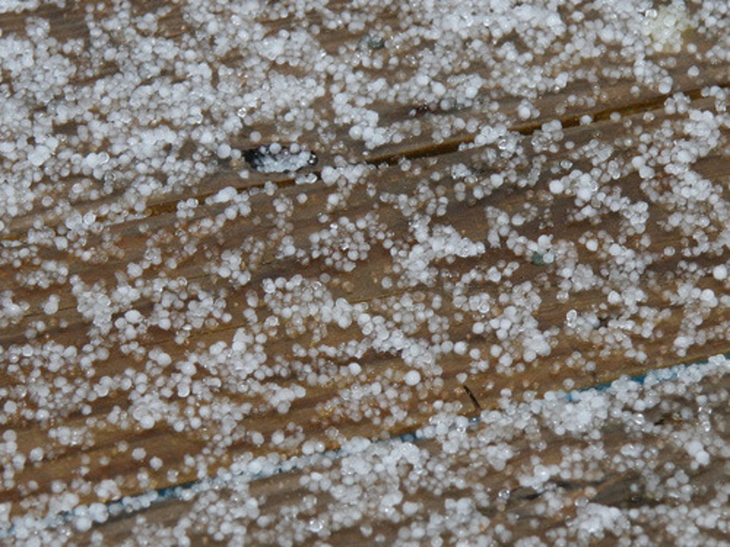 <p>clear ice pellets precipitation, forms when rain falls through layer of freezing air</p>