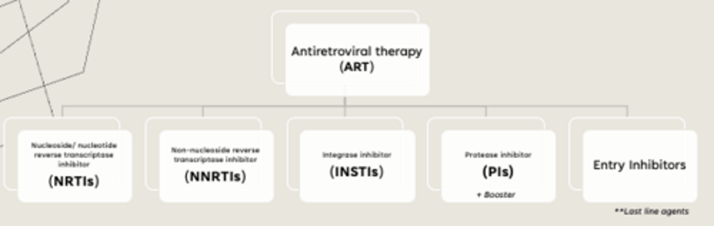 <p>•Nucleoside/ nucleotide reverse transcriptase inhibitor (NRTIs)</p><p>•Non-nucleoside reverse transcriptase inhibitor (NNRTIs)</p><p>•Integrase inhibitor (INSTIs)</p><p>•Protease inhibitor (PIs)</p><p>•Entry Inhibitors</p>