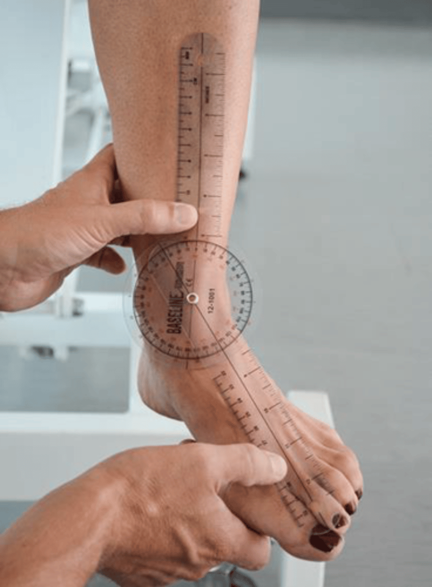 <p>seated </p><p>stationary arm: tibial tuberosity </p><p>fulcrum: talocrural joint (between malleoli) </p><p>moving arm: 2nd metatarsal </p>
