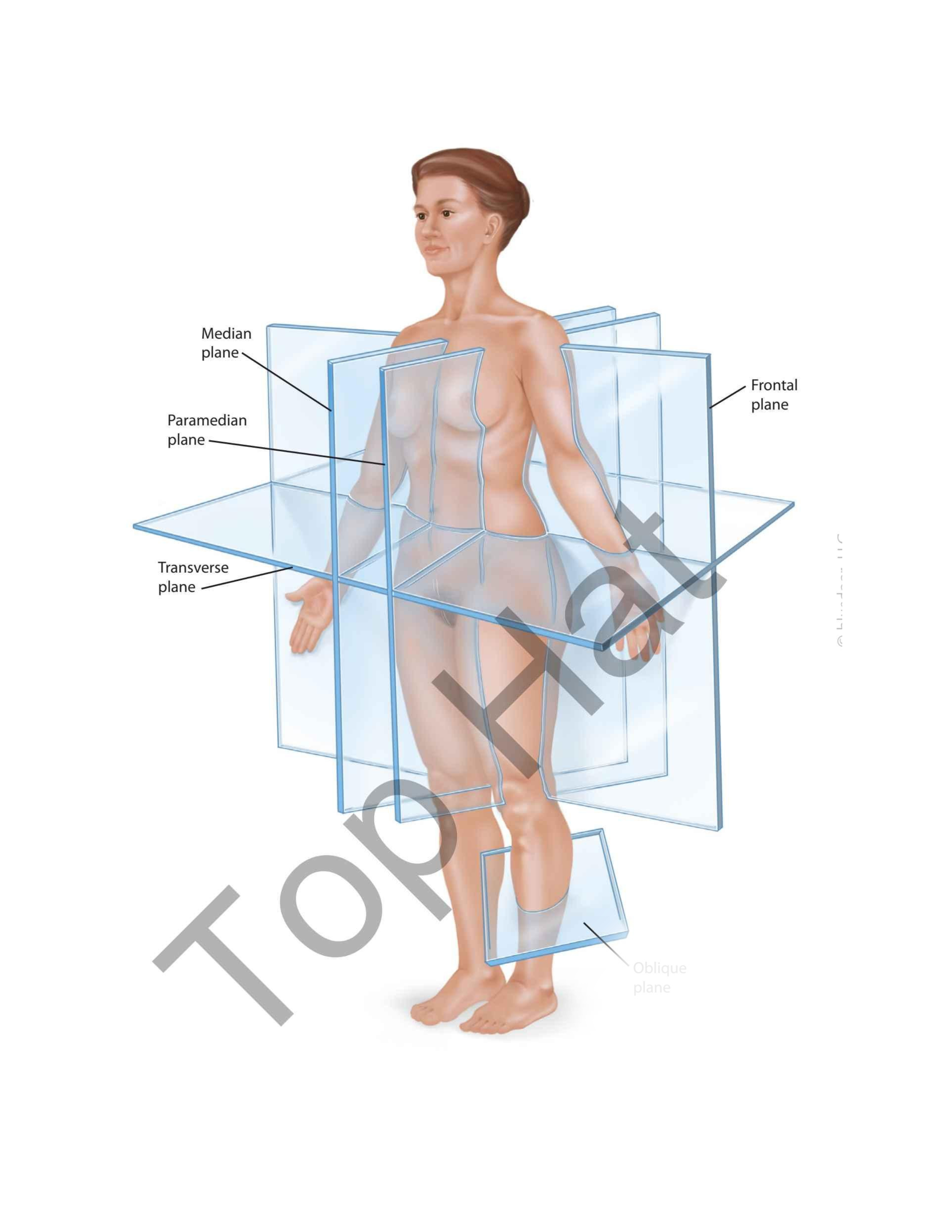 term image