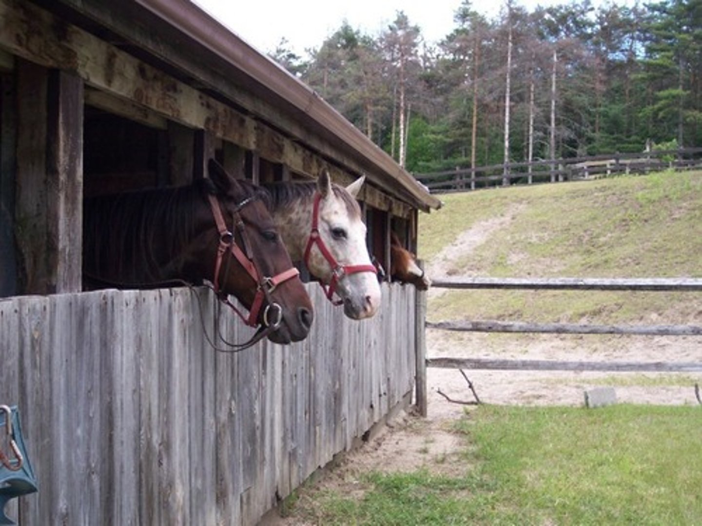 <p>stable/barn</p>