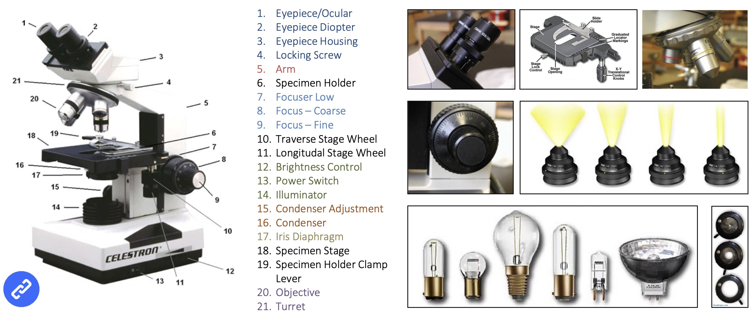 <p>white light source is the best (LED), want to make sure that all the colours of the spectrum are of uniform intensity and that will give you your best illumination.  </p>