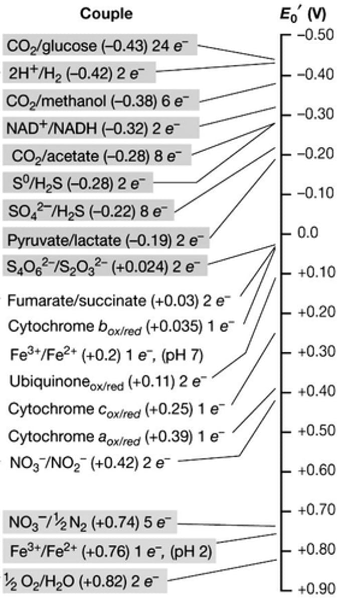 <p>- in order to not undergo reverse e- flow to generate reducing power, a substrate listed ABOVE (more electronegative) NADH needs to be used (this includes glucose, H2, or methanol)</p><p>- since we're looking at a lithotrophic substrate, it will need to be an inorganic source (so it would need to be H2)</p>