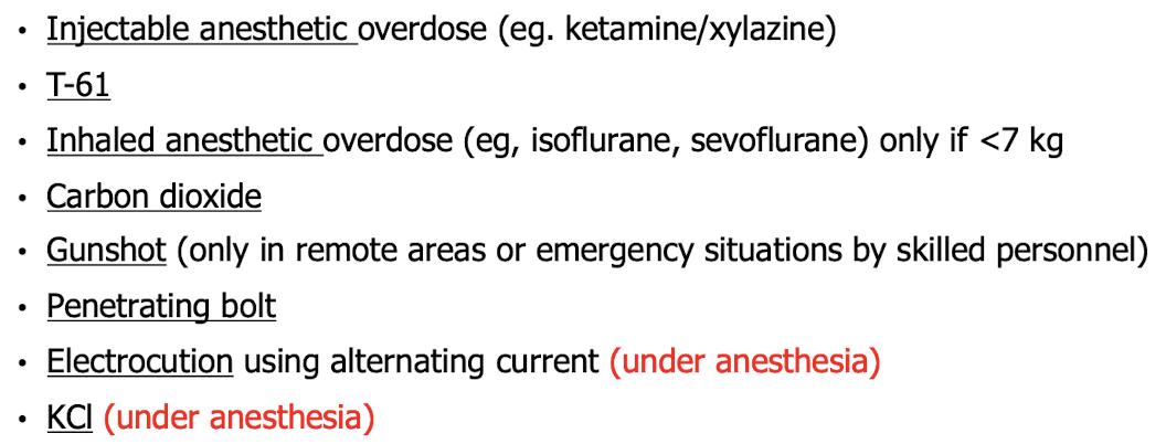 <p>IV injection of <strong>Pentobarbital </strong></p><ul><li><p>IV when possible </p></li><li><p>IP in small animal </p></li><li><p>IC, Intrahepatic, Intrarenal only in unconscious animal </p></li></ul><p></p>