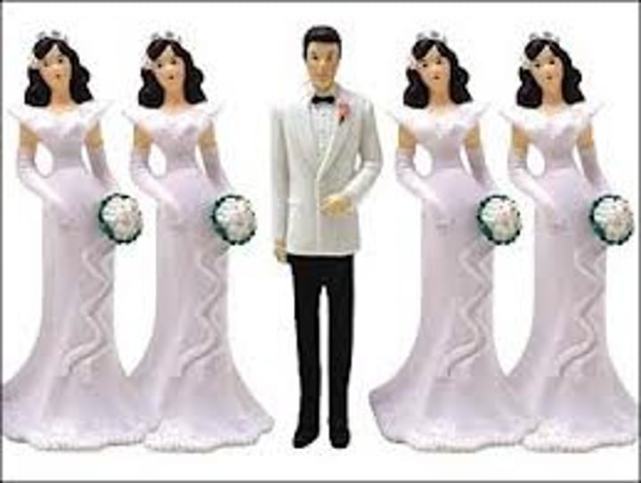 <p>relationships where an individual of one sex mates with several individuals of the other sex</p>