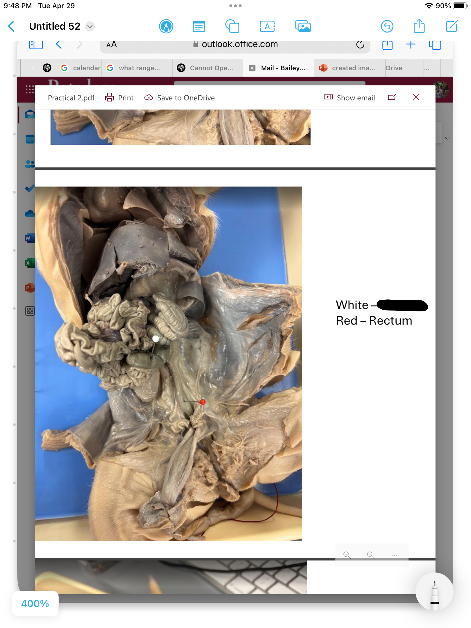 <p>label the area</p>