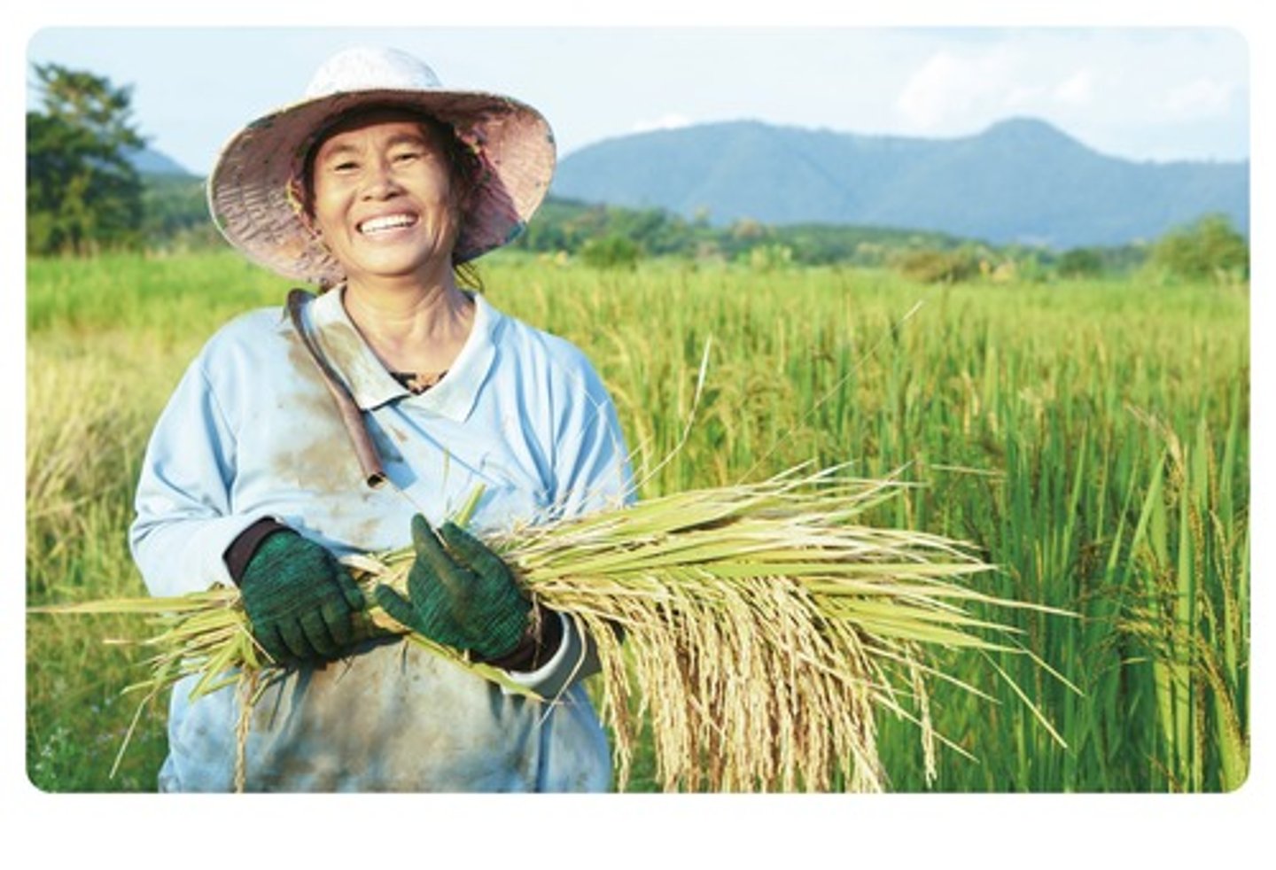 <p>/ˈhɑːr.vəst/ Vụ gặt</p>