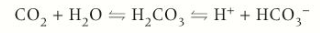 <ul><li><p>In blood plasma CO2 reacts slowly w. H20 to form carbonic acid</p></li><li><p>Carbonic acid then dissociated to form H+ ions &amp; hydrogen carbonate ions (HCO3-) </p></li></ul><p></p>