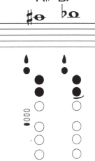 <p>Note name?</p>