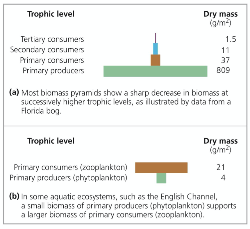 Biomass pyramid
➔ Represents ecological consequences of ___ trophic efficiencies
◆ Each tier represent total dry mass of organisms in one trophic _____
◆ Most narrow sharply from primary producers to apex carnivores due to inefficient energy transfer
◆ Certain aquatic systems have ______ biomass pyramids as primary consumers outweigh the producers, i.e. phytoplankton are consumed quickly by zooplankton
● Rapid reproduction of phytoplankton results to higher production than zooplankton -> energy pyramid is still bottom- heavy