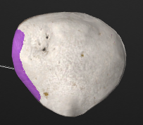 term image