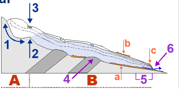 <p>5</p>