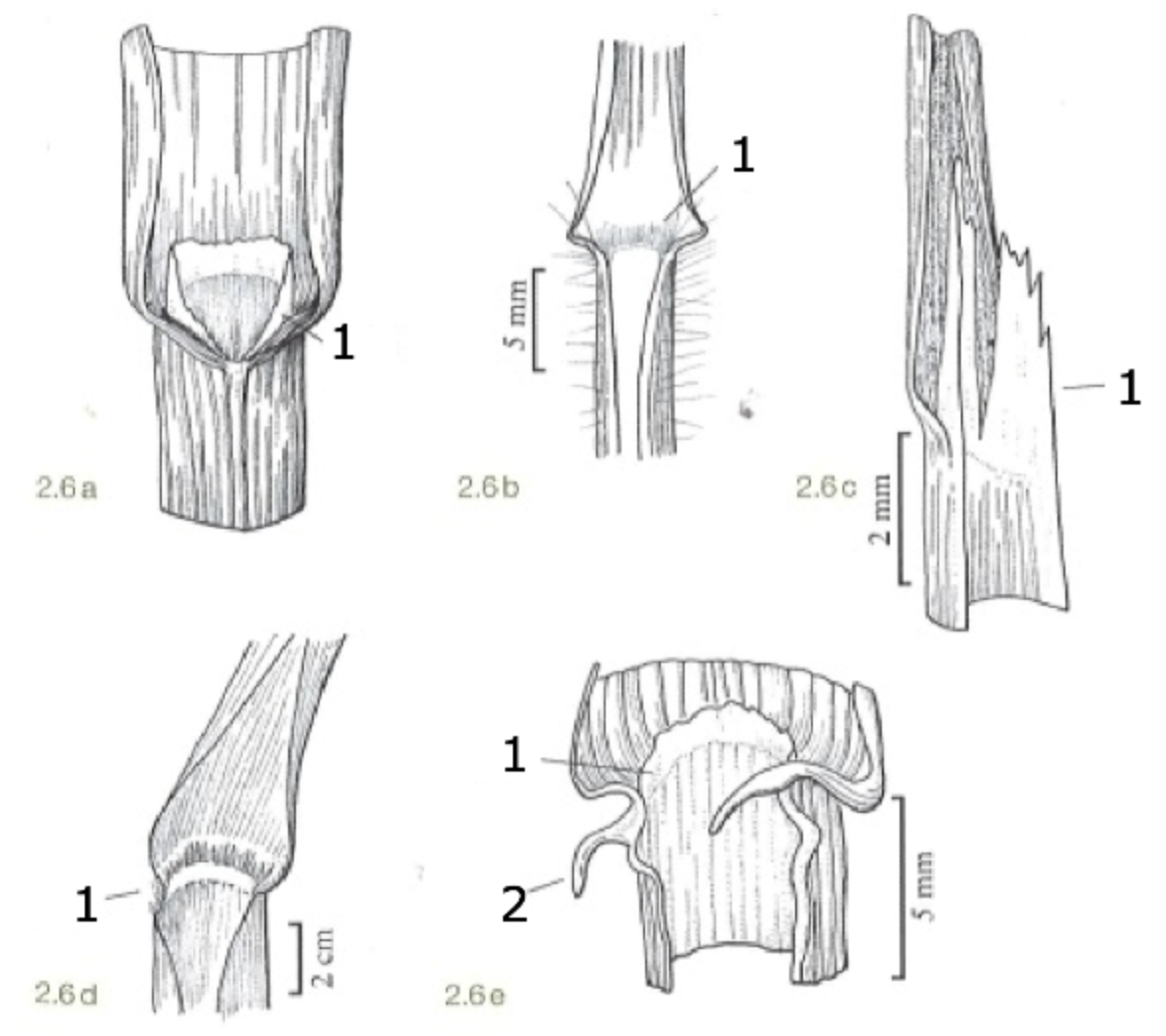 <p>what is 1?</p>