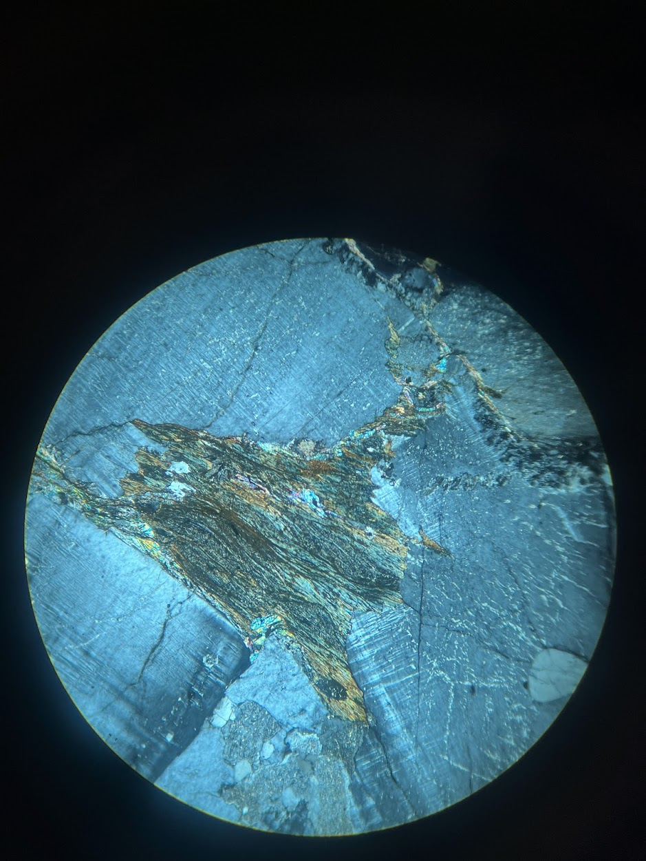 term image