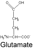 <p><strong>CH2</strong> - CH2 - C - O and O-</p>