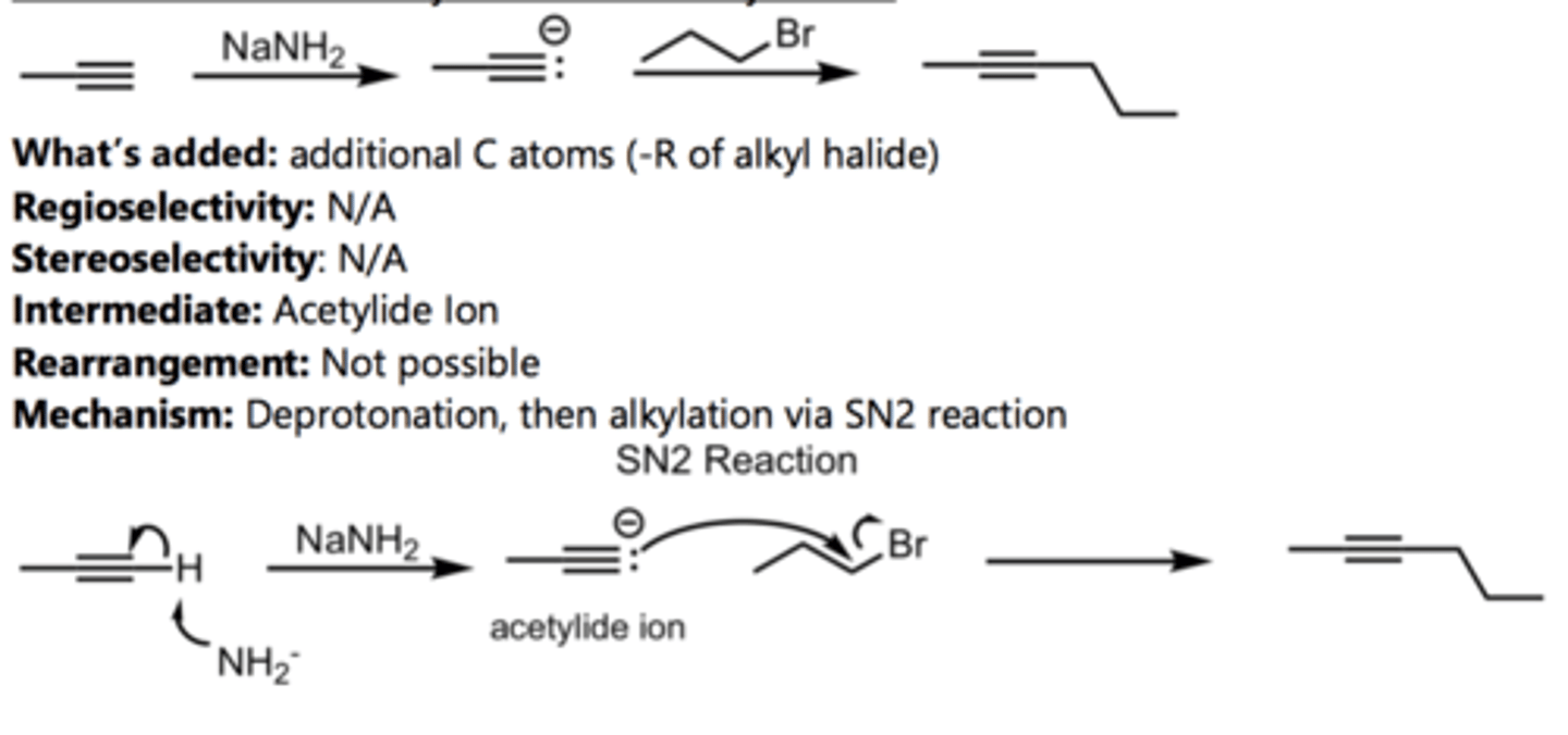 <p>Alkyne Reaction</p>
