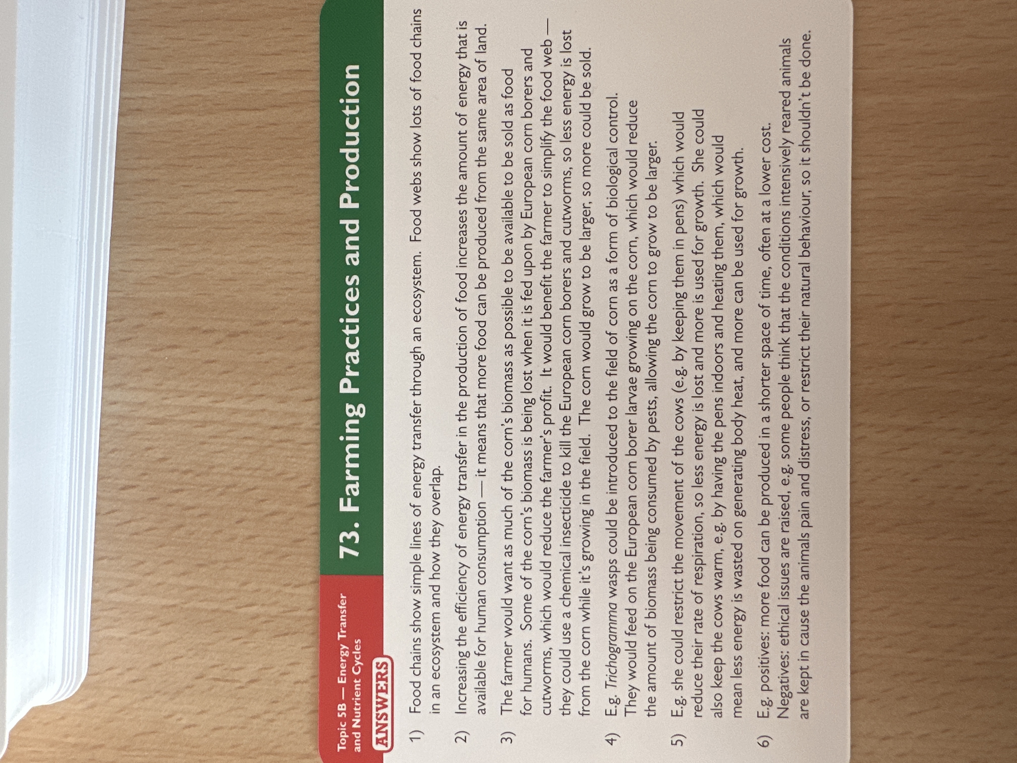 knowt flashcard image