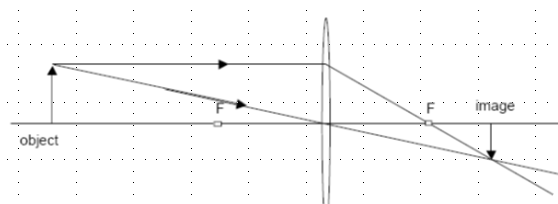 <p>Draw a straight line from the object to the lens, parallel with the principal axis. Then draw a straight line from the object through the centre of the lens and out the other side. Then, from the end of the first line, draw another line going through the focal point and out the other side. Wherever the two lines meet is where the image forms</p>