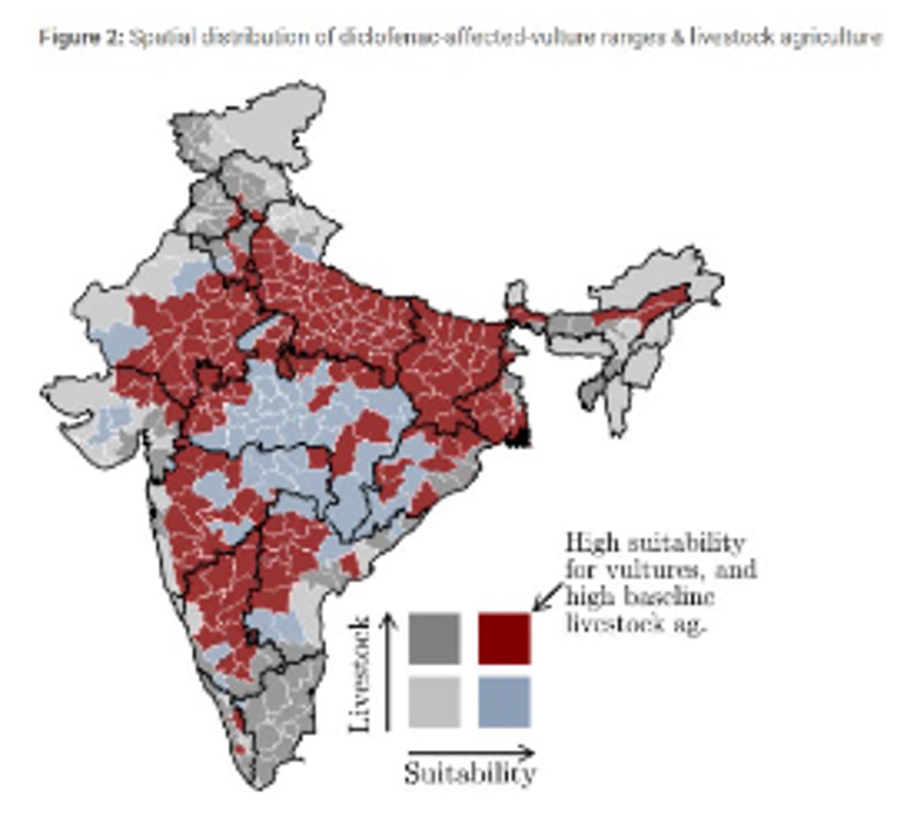 <p>What other things did researchers examine in India?</p>