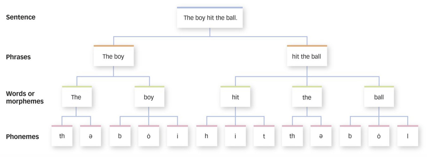 <p>smallest unit of sounds that are recognizable as speech rather than as random noise</p><ul><li><p>no meaning</p></li></ul><p></p>